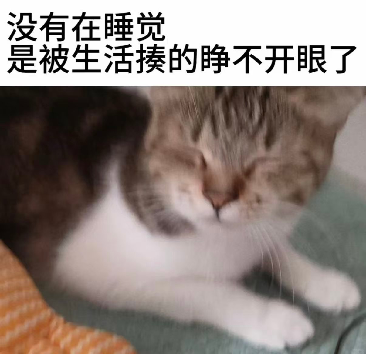 我每天： ​​​