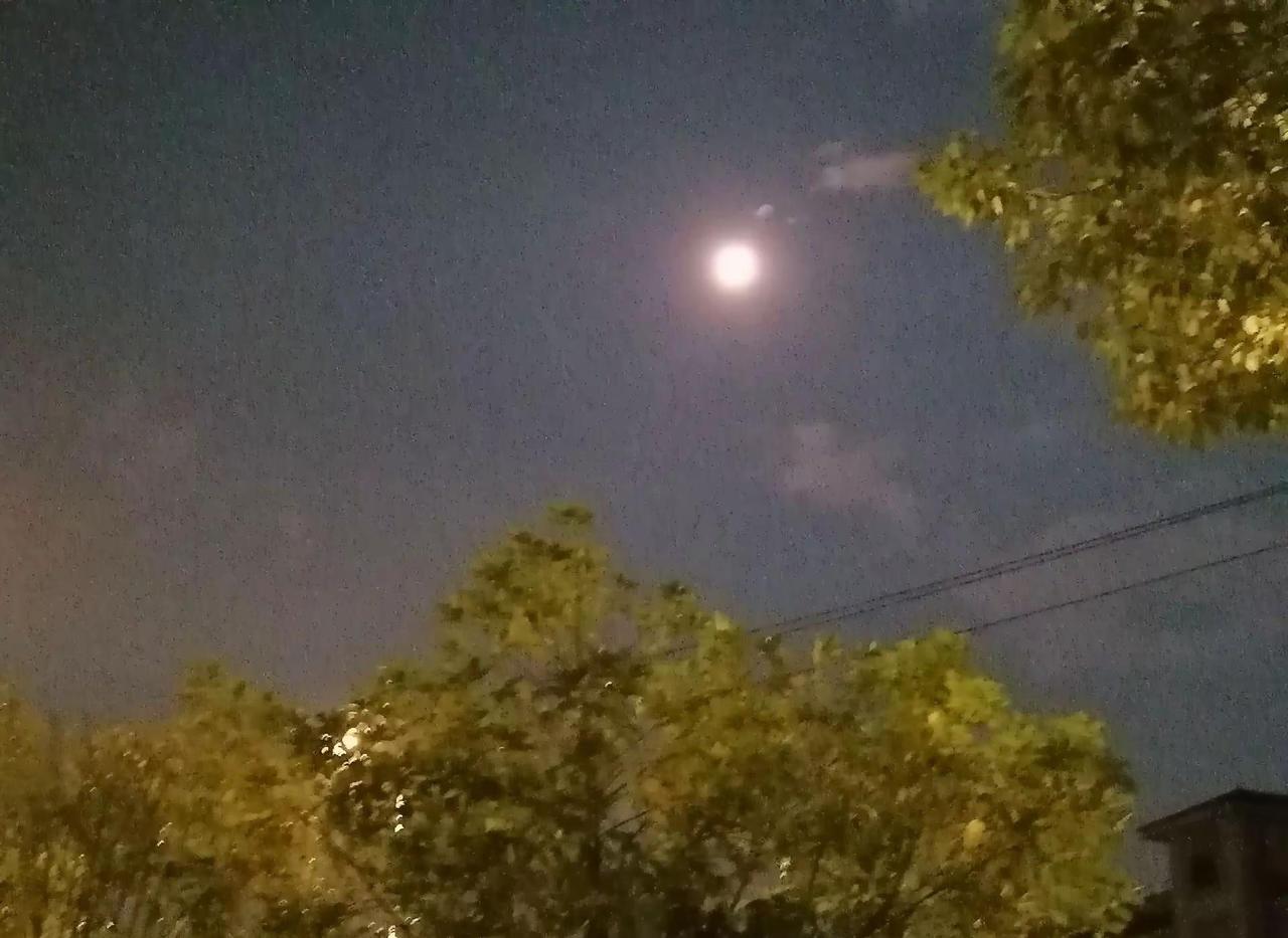 雨后月出，月色安然🌕。治愈系天空风景 创作者中心 创作灵感 刚落过一场大雨，月