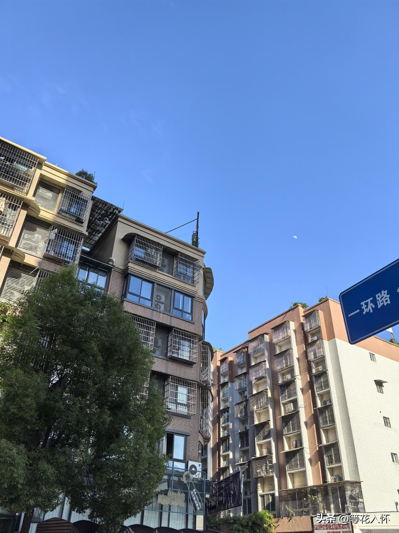 苏轼嘴馋的时候想的是什么美食呢?东坡肘子。苏轼此人才高八斗，偏偏又是个好吃鬼。