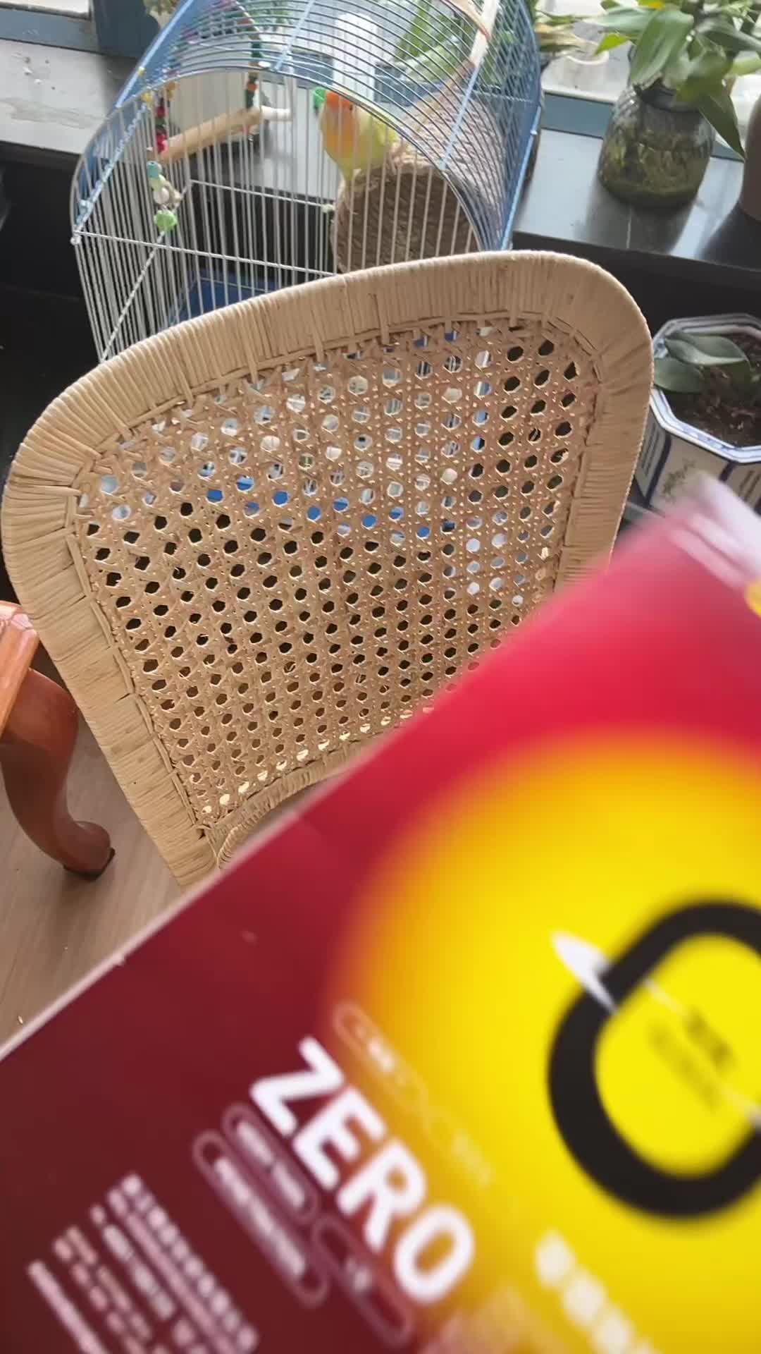 穿搭神器