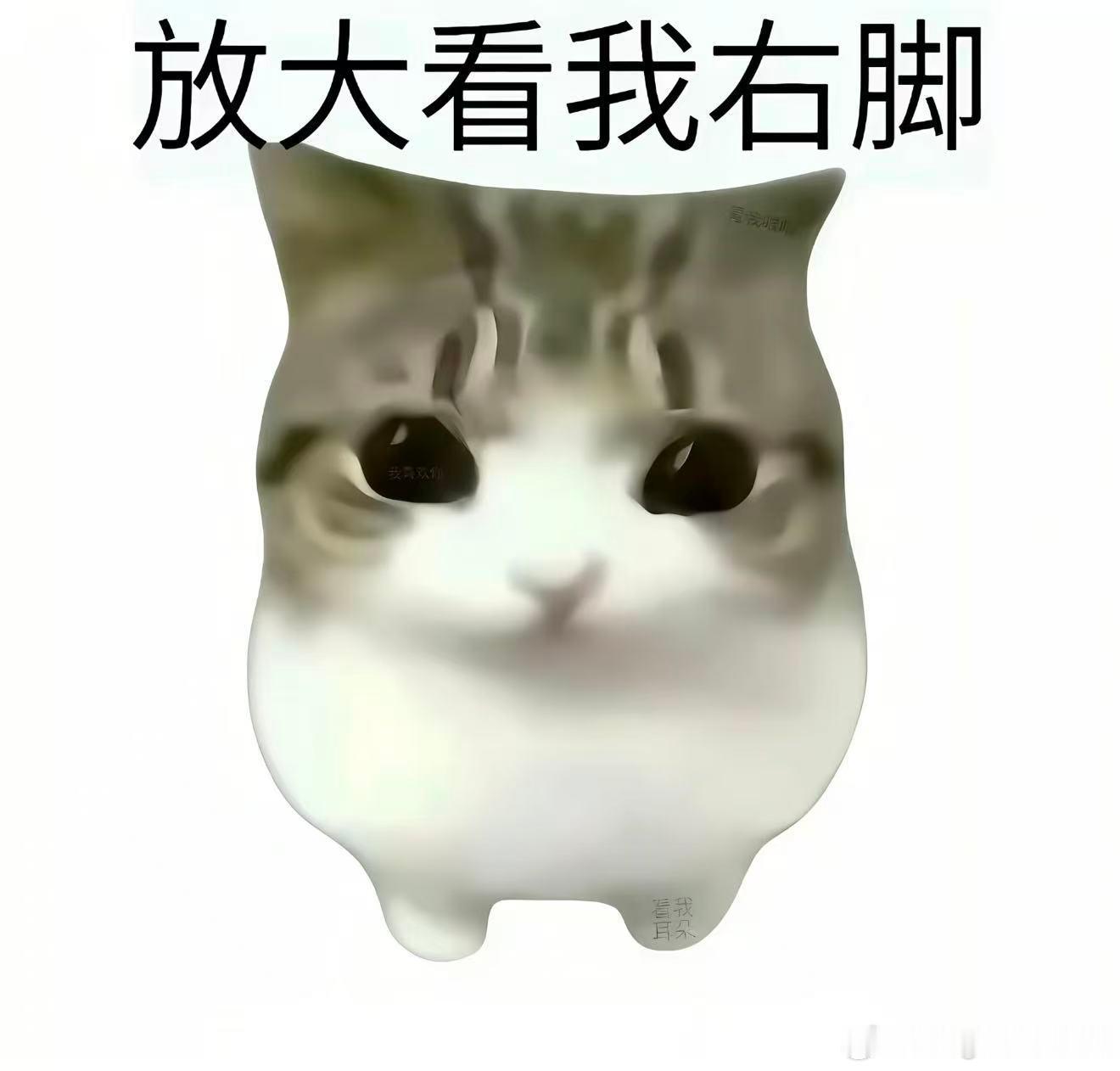 我不行了吧每天有100%的晕倒是因为被萌晕。。。 