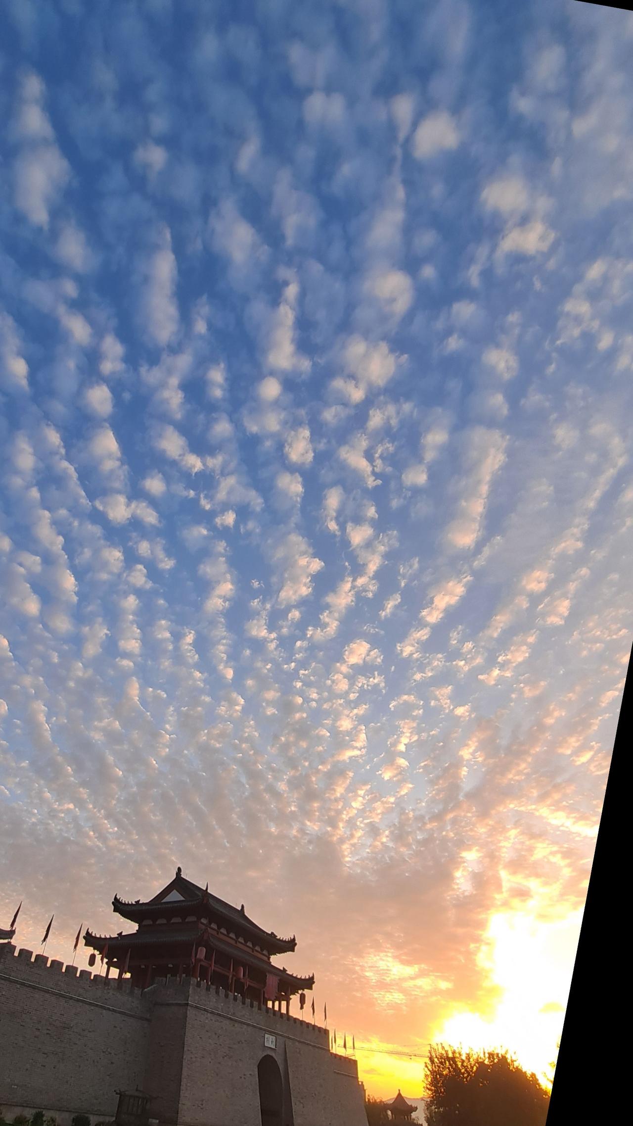 同时我的朋友也非常喜欢我的帖子，感谢大家陪伴。