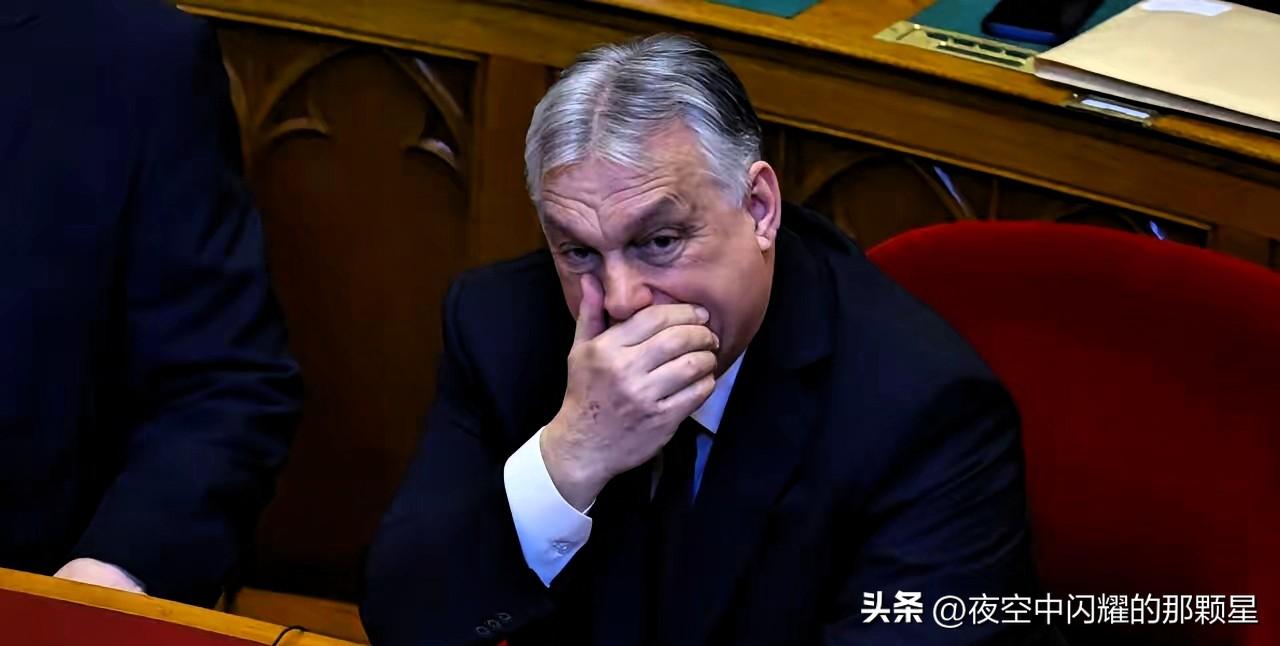 匈乌冲突又开撕了，这次是因为钱。

七名乌克兰银行工作人员押送的3500万欧元现