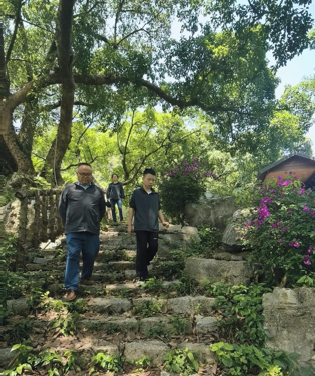 和妻儿漫步在古老的大榕树下和青石板路上，我深深感受到了历史的痕迹和文化的韵味。