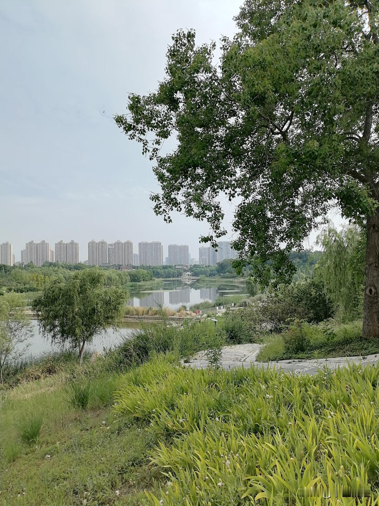 晒出你近期的原创摄影作品夏日的湖畔，坡上的绿树成荫，可以感受到美好生活的惬意。