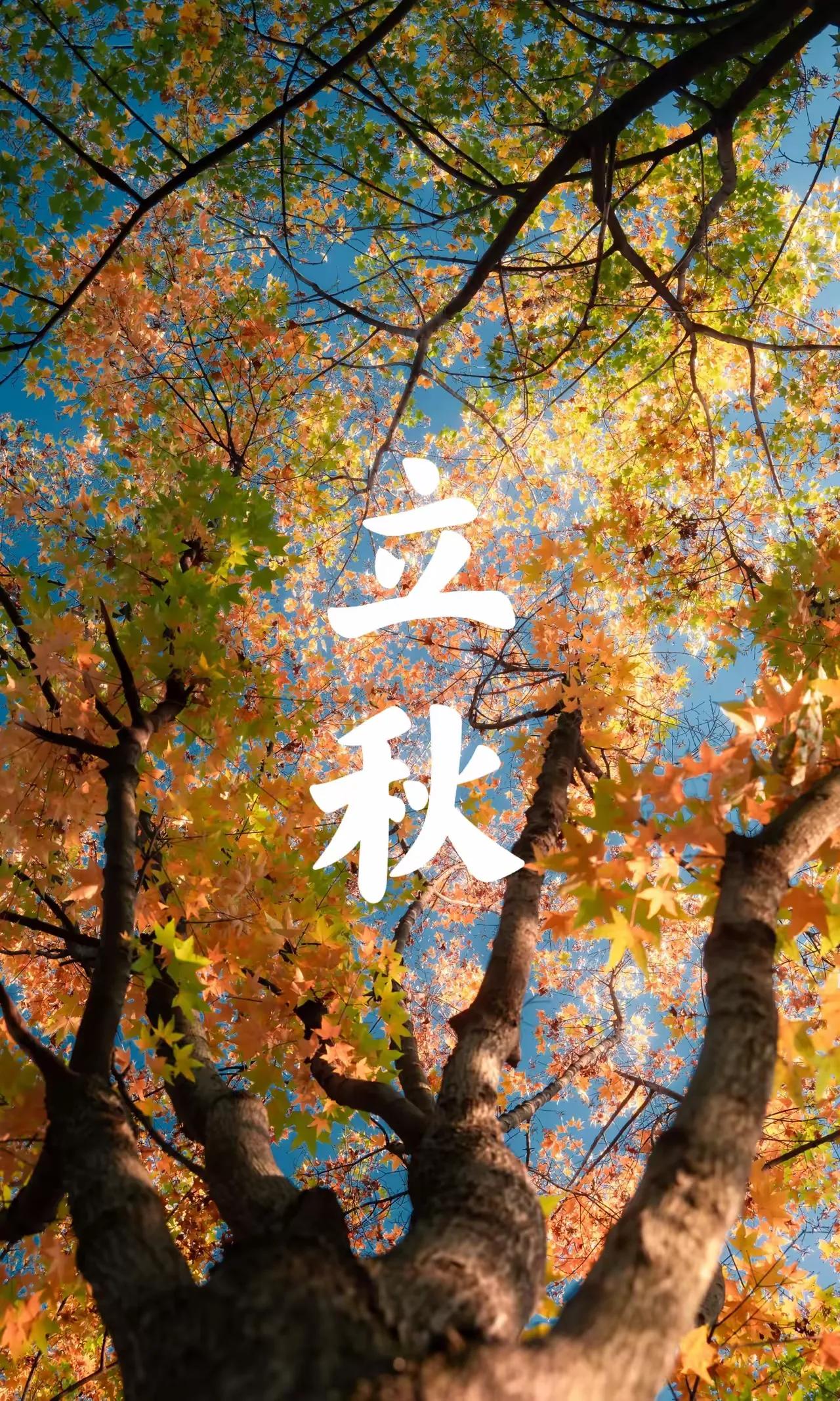 不是迷信！明日立秋，最不能做的4件事，告诉家人要知道

明天是8月7日，农历六月