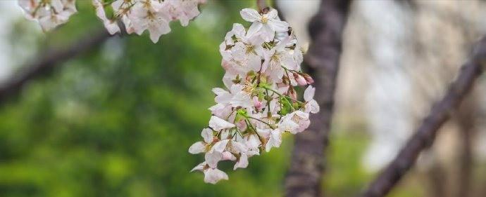 余生那么长，一定要找个能时刻为你“充电”的人在一起。那种让你能量满满、心里暖洋洋