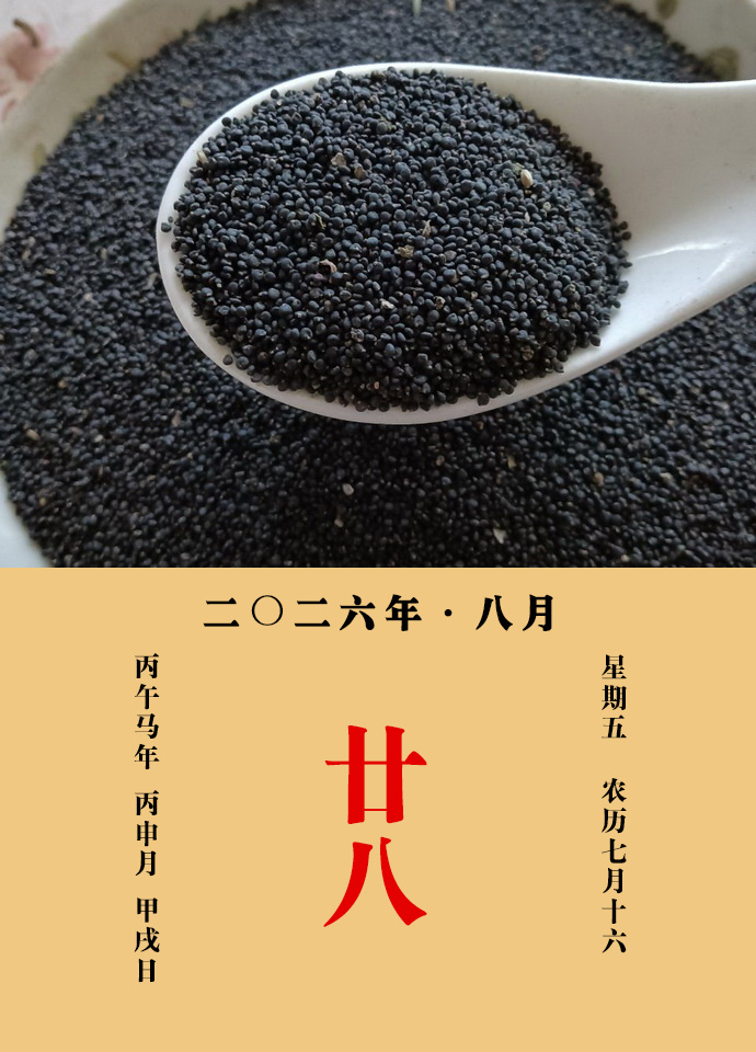 每天一味中草药 甄权说：苋实主肝风客热，翳目黑花，益精气，通九窍，治白翳坠睛，小