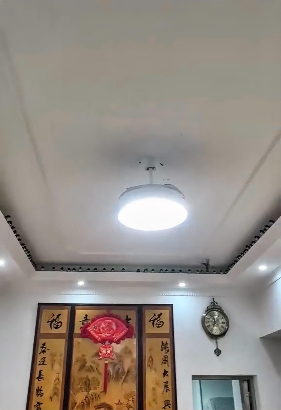 网友分享家里来了一群燕子，安徽网友说燕子来家快一个月，过年期间一直在白天出去晚上