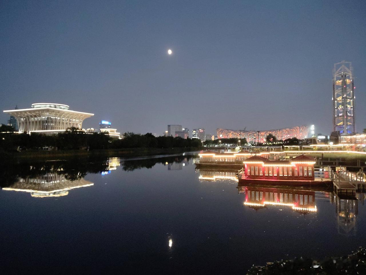 1. 自由被勒住——最本能的敏感

午马属火，火性上炎外张，像草原上跑惯的骏马。