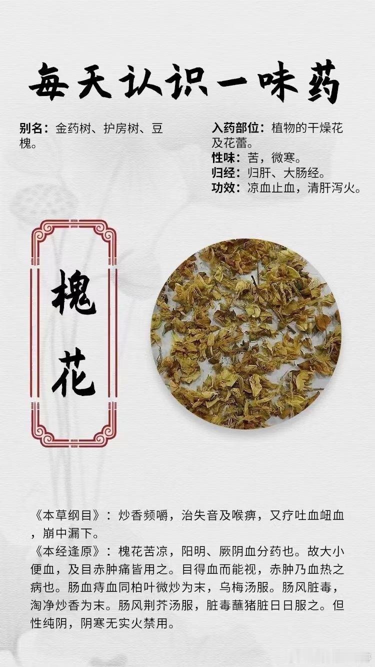 #国医的精诚力量# 【每天认识一味药】[鲜花]槐花🌀别名：金药树、护房树、豆槐
