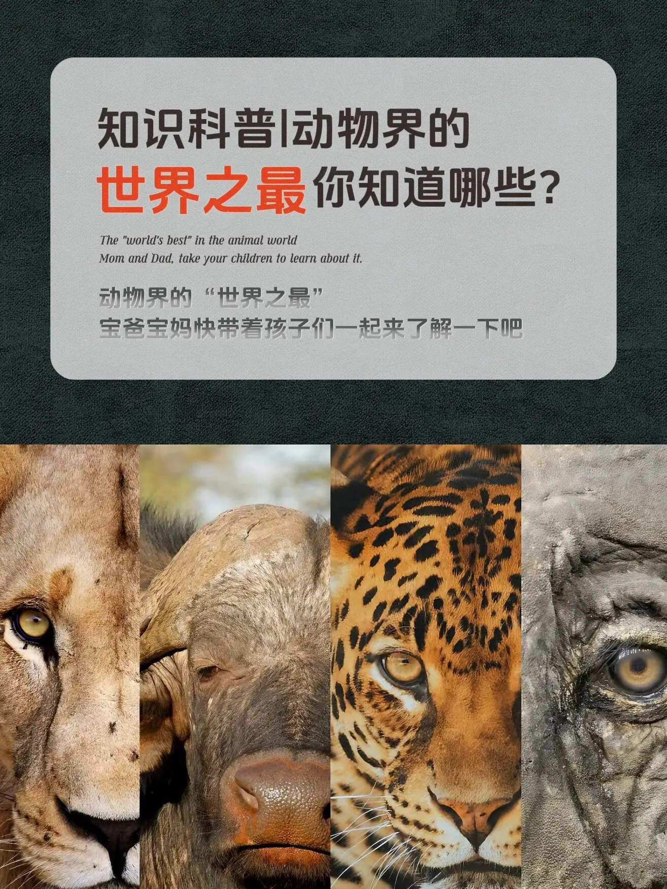 小学生必备百科常识。孩子成长需要知识积累，小学必背百科常识来助力！50...