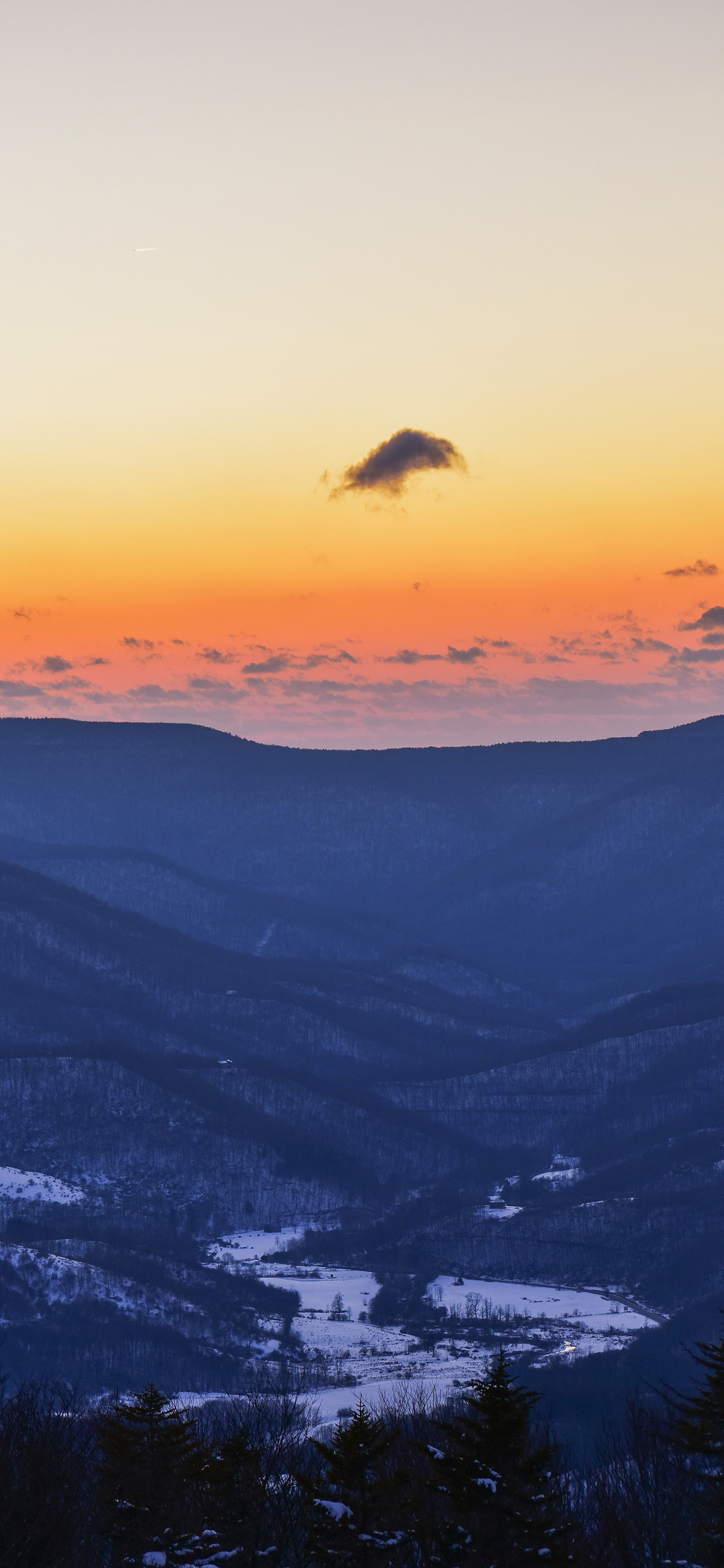 小伙伴们早～又是没人比我早的早上好