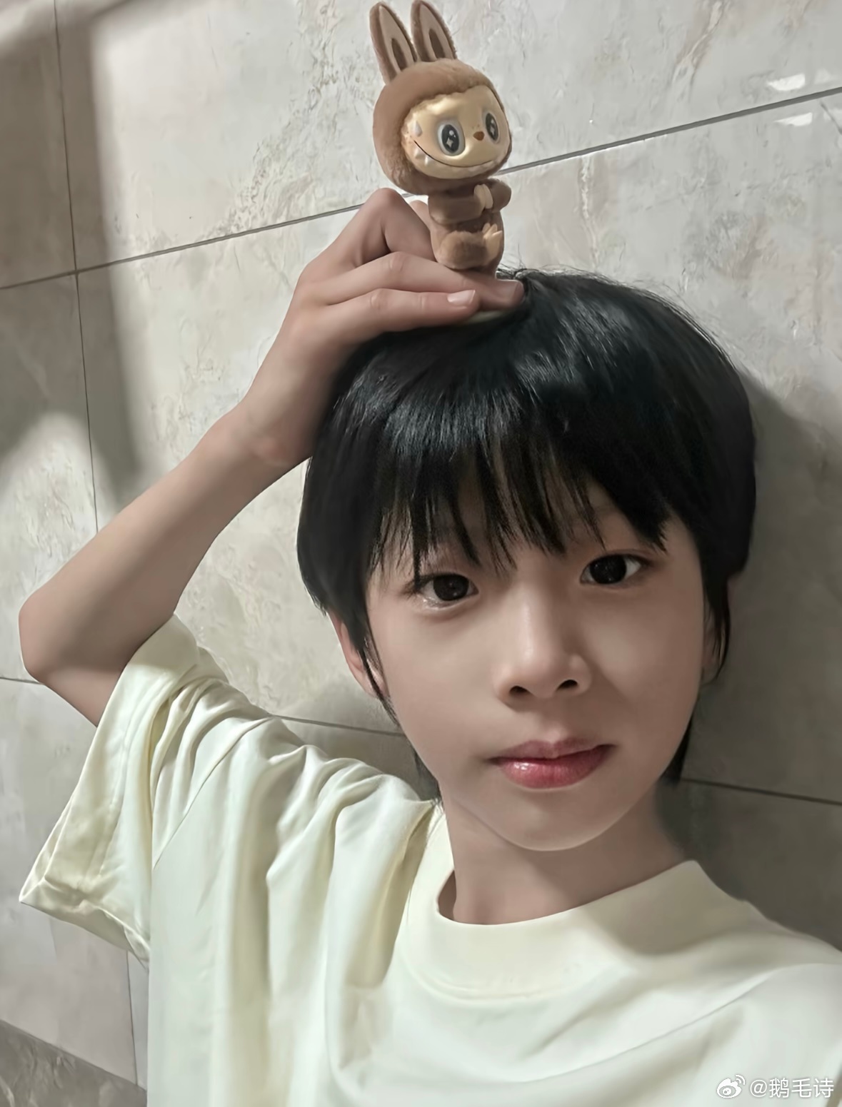 越艺晨这是给自己认证拉布布塑了 