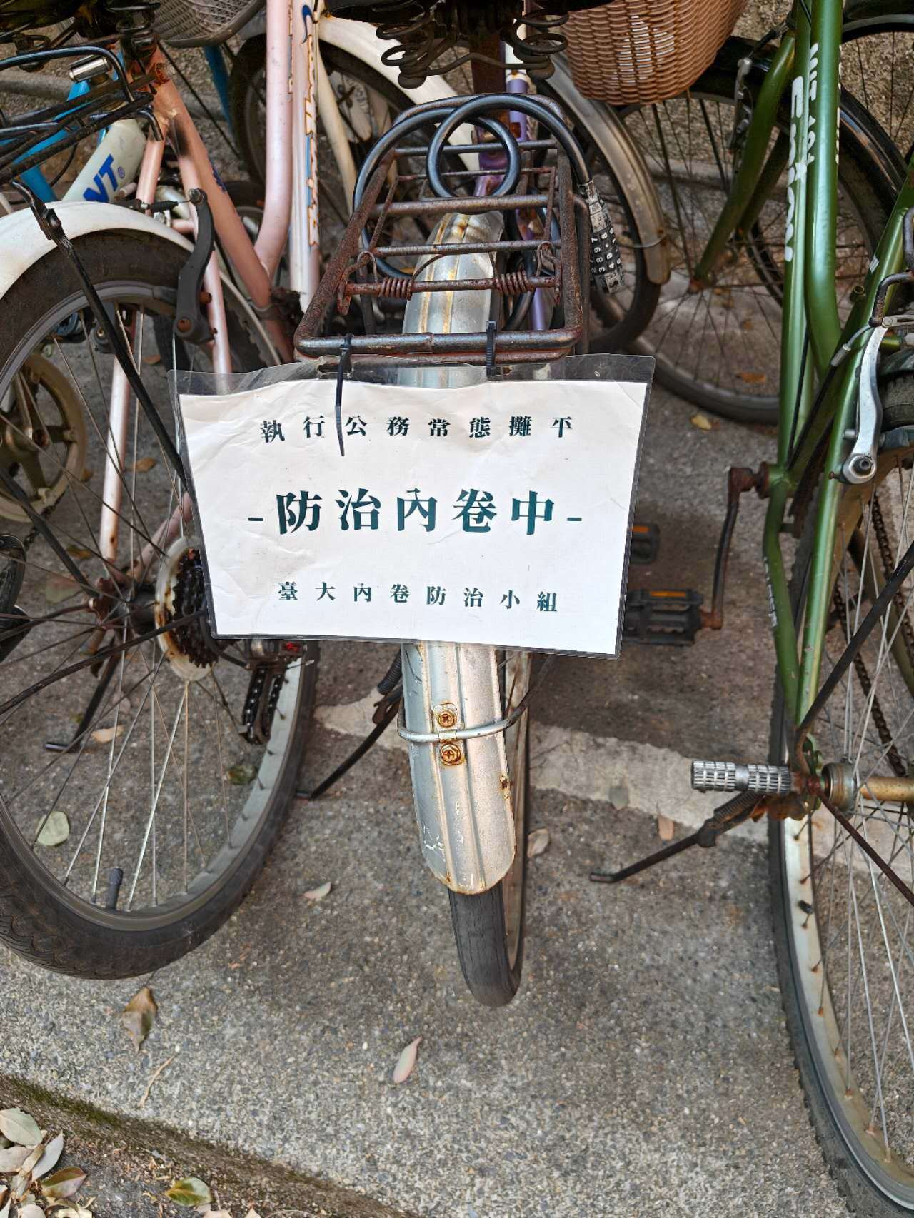 这是干嘛的？谁懂？ 