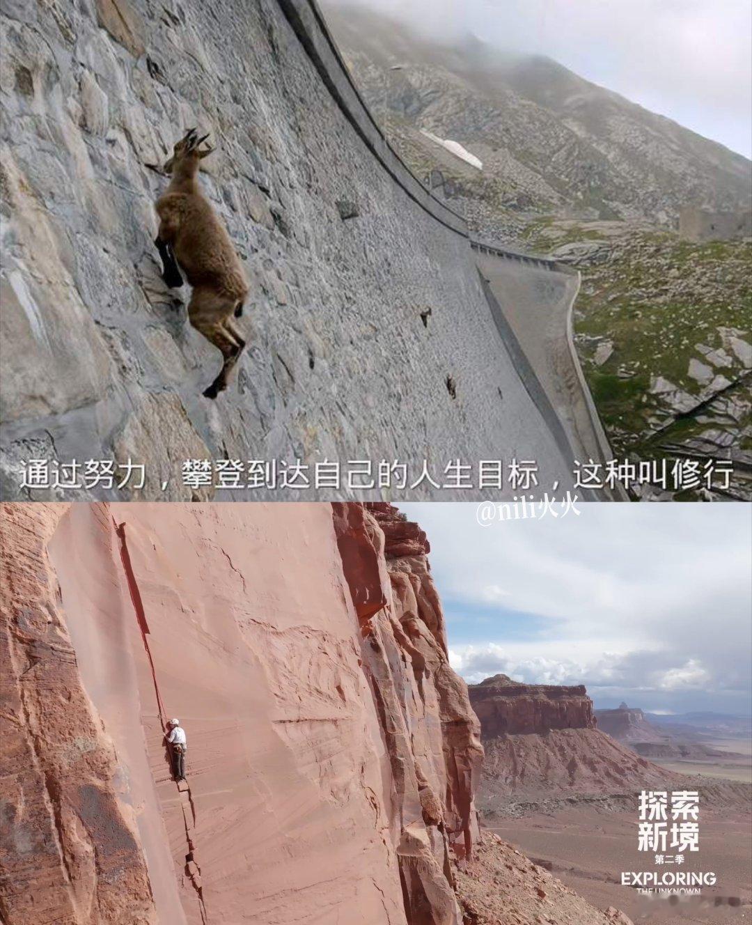 王岩羊！就说这权威不？！ wyb 