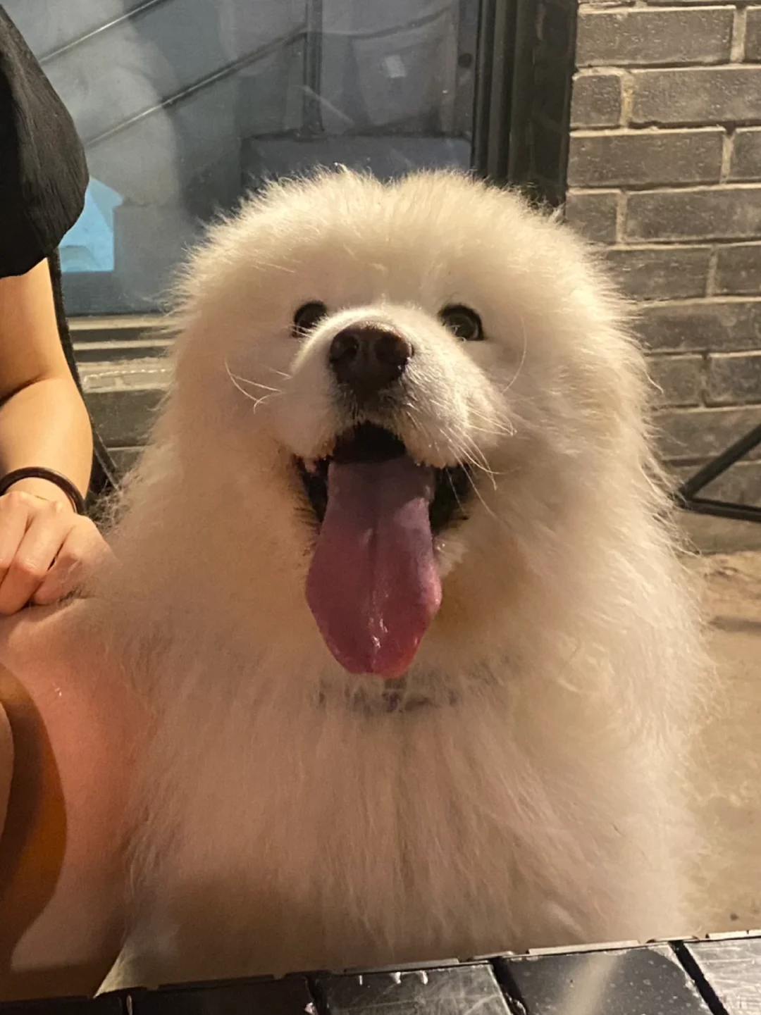 特写
