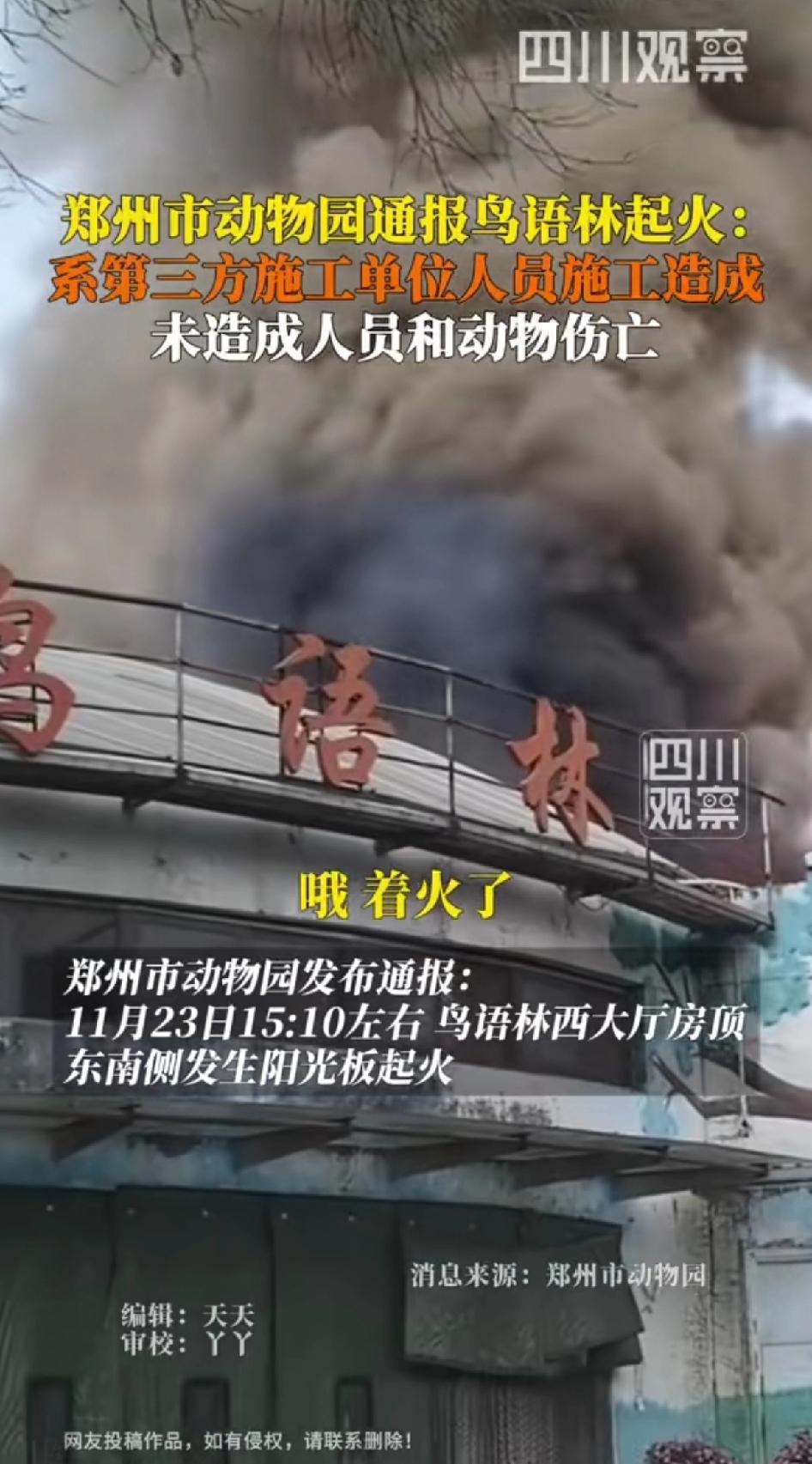 郑州市动物园通报鸟语林起火：系第三方施工单位人员施工造成，未造成人员和动物伤亡。