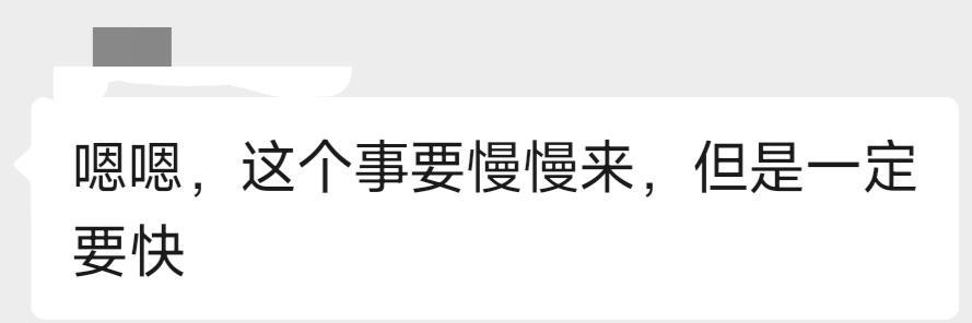 所有ai，停下手上的工作来研究导师这句话 中译中：这个事你要细心地做，但是一定要