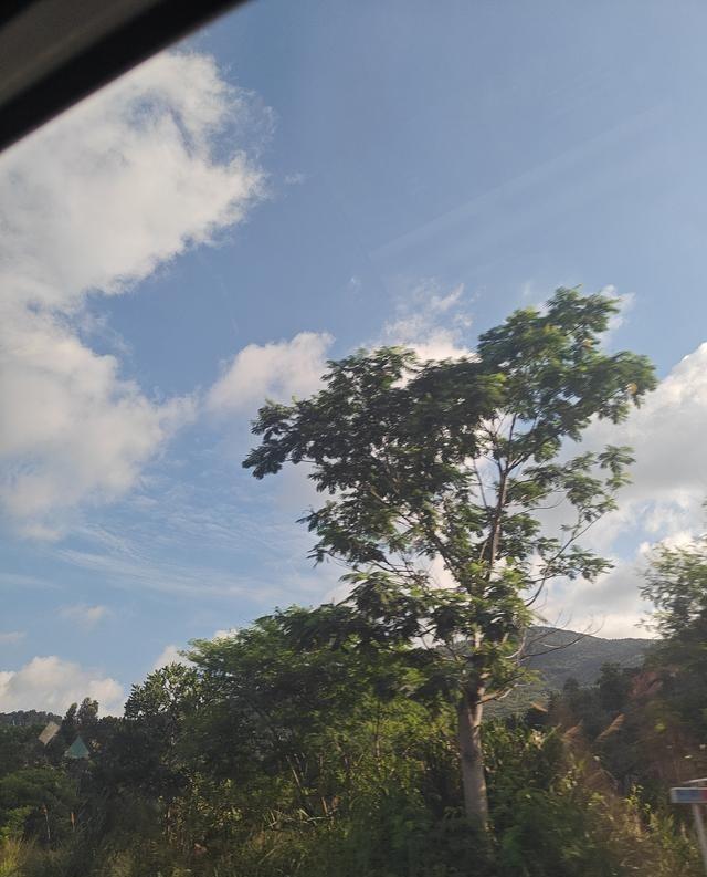 抑郁症患者寻死，真不是想不开，纯粹是想结束痛苦。别总给人贴“矫情”、“懒”的标签