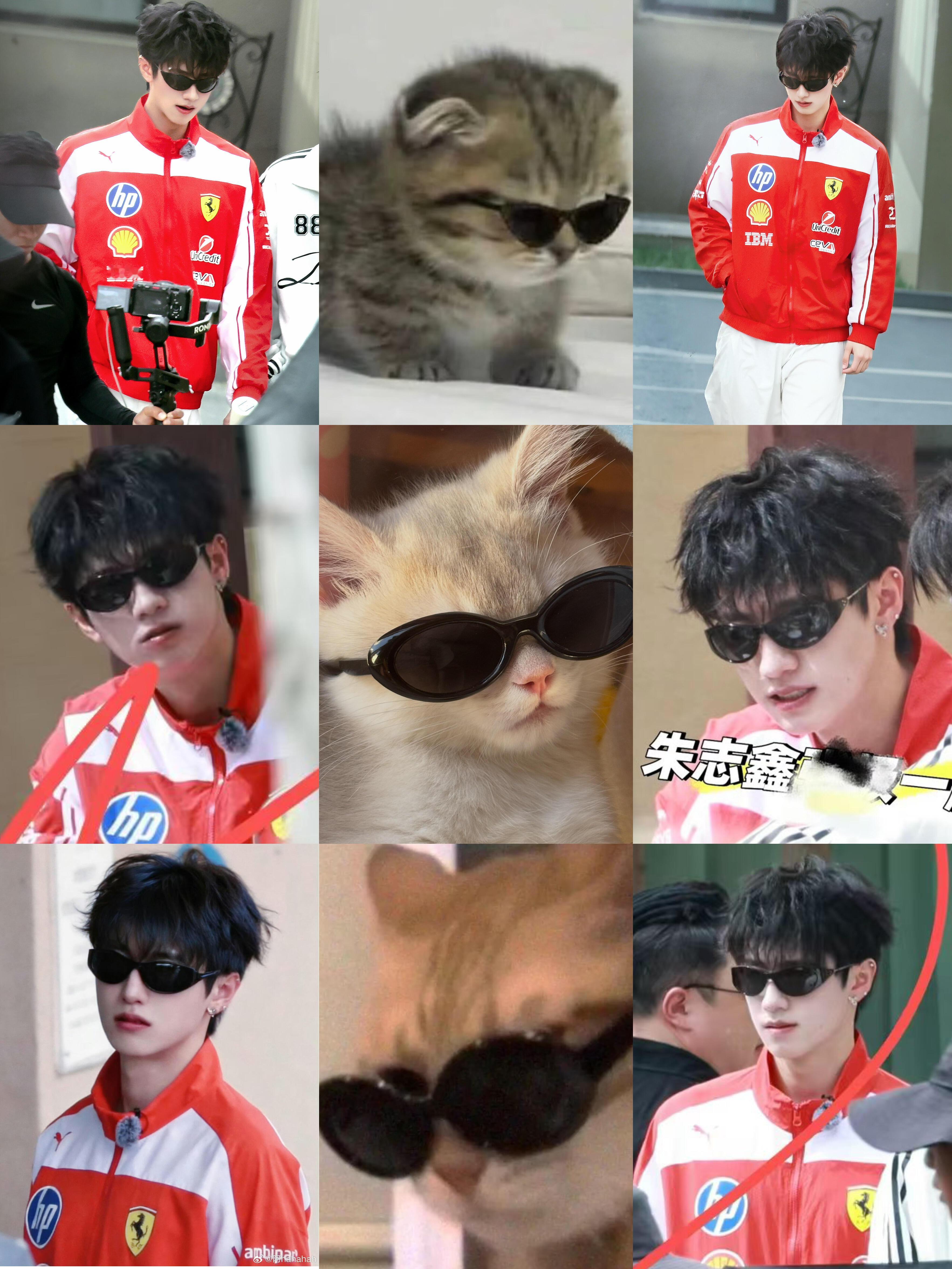 “我？我是小猫吗？” 你是卷毛咪呀！朱志鑫一路向海的少年