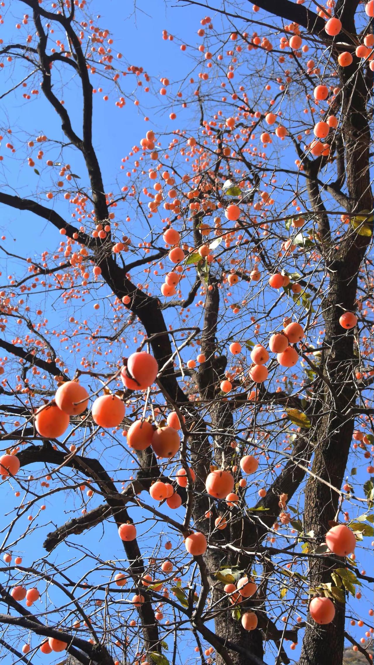 记录•太行一日
