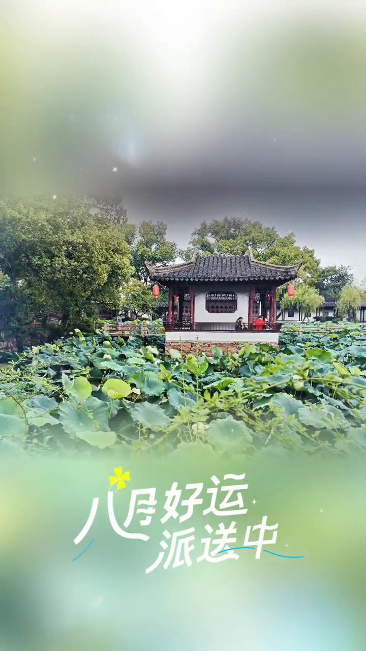 八月好运派送中。