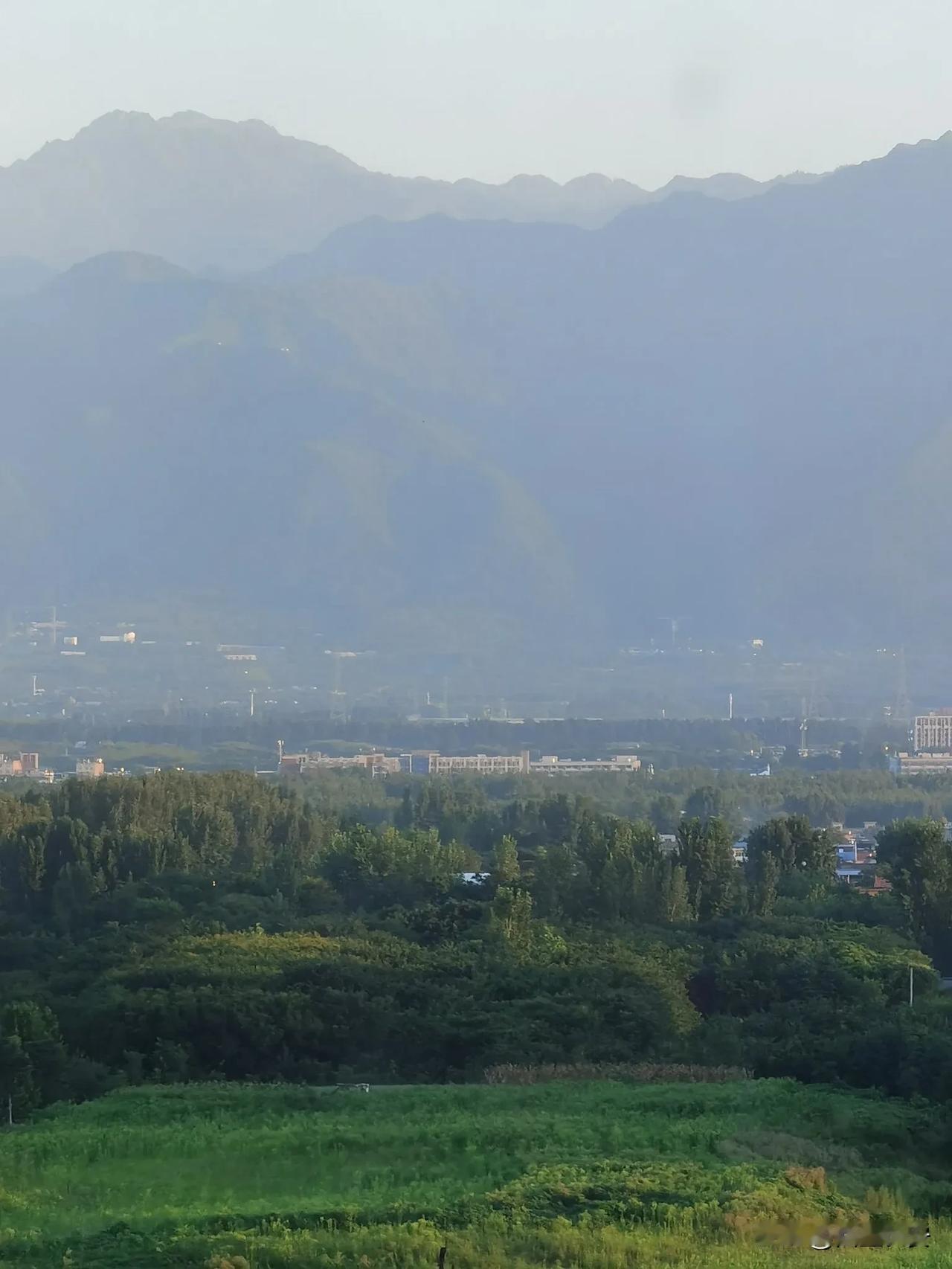 8月12日。宜出行 悟道 家庭会议 训练 纳畜 解除 斩草 忌求神因神仙 安床。