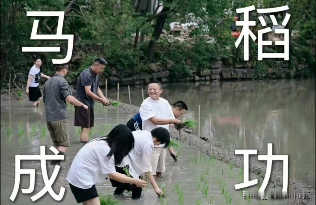 农民上网卖大米，成不了新闻！
淘宝老板下网种大米，就是新闻！
为啥？