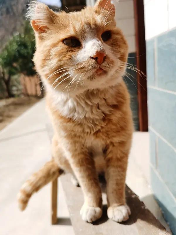 人之一生，
困于犟与憨，
福于忍与谦，
富于谋与思，
毁于怒与狂。
收敛脾气，稳