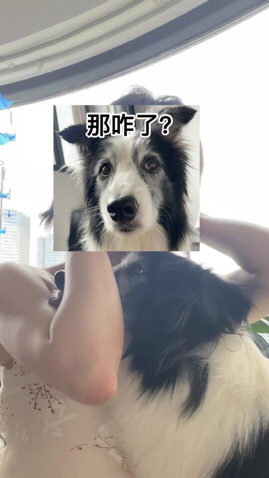 宝贝请问你为什么要舔我的肱二头肌？