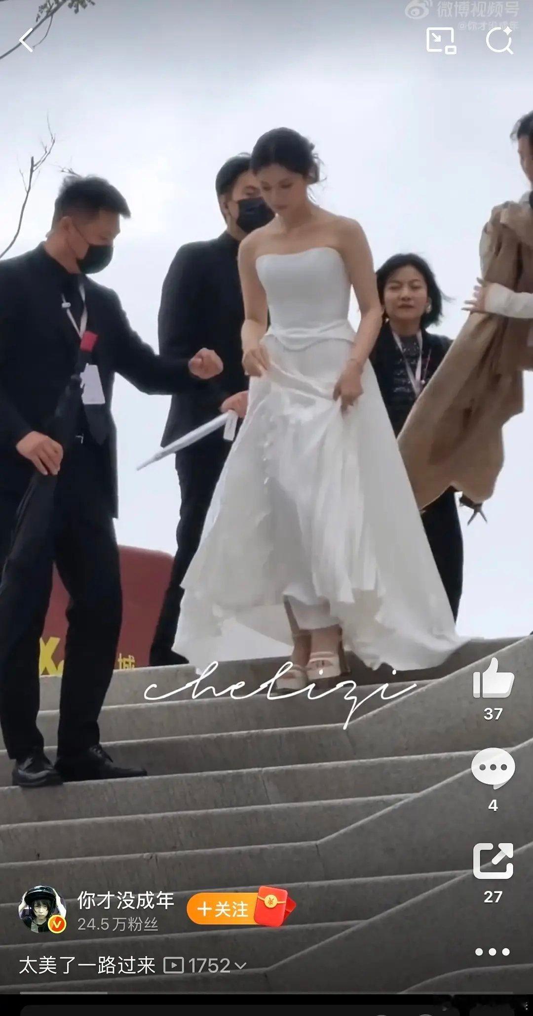 张婧仪到底哪里出问题了 