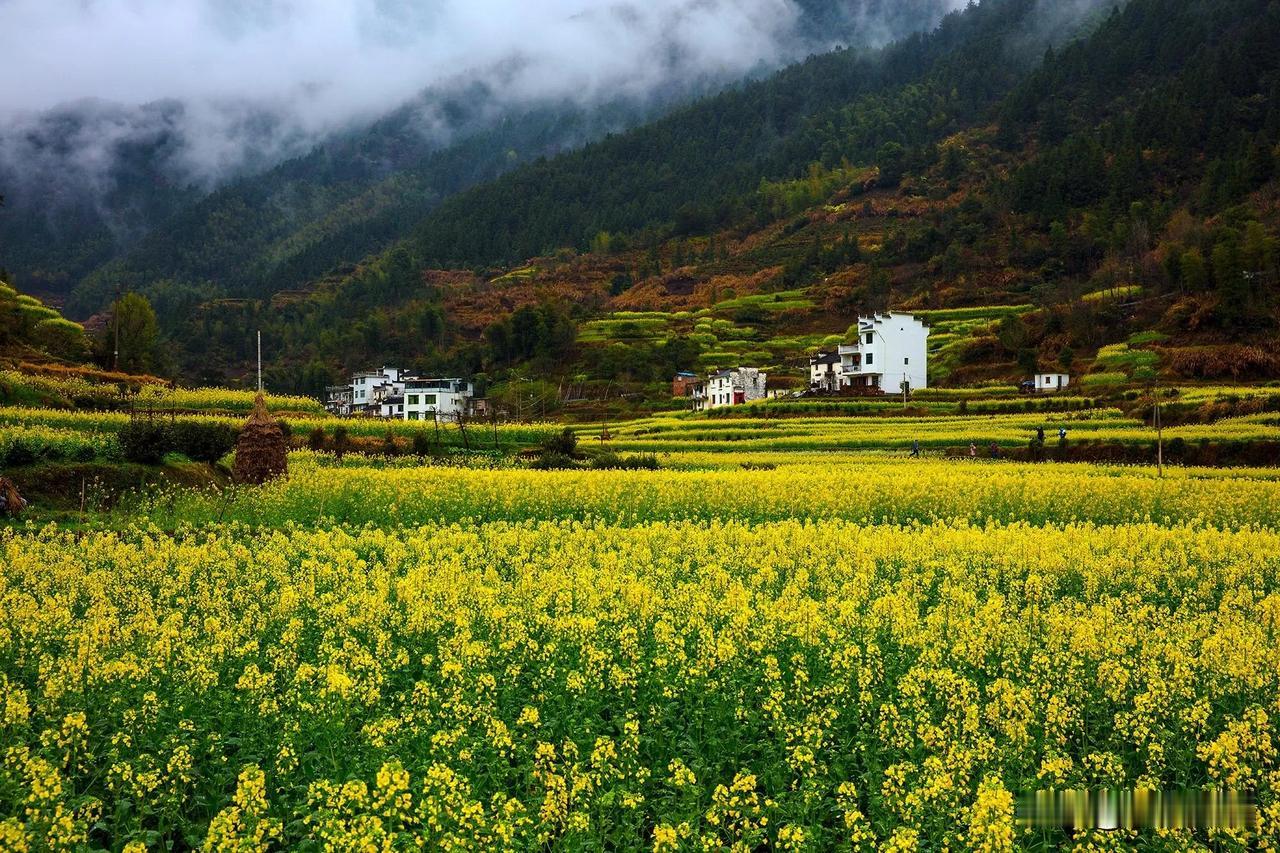 #2024年你想去哪里旅游#喜欢自驾旅行，但是我的旅行目的地比较“专一”，不是赴