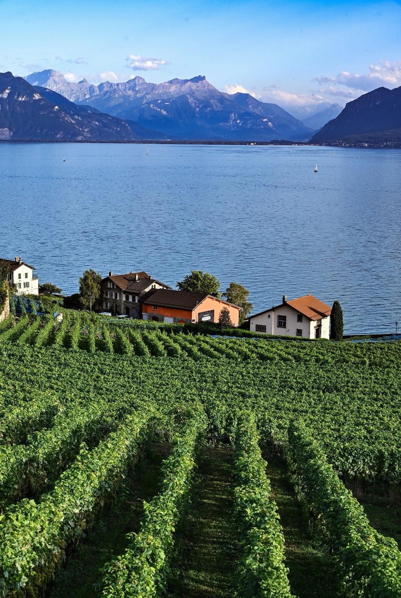 我们对社会的反思、讨论，乃至尖锐的批评，皆建立在为社会奉献的基础之上。也就是说，