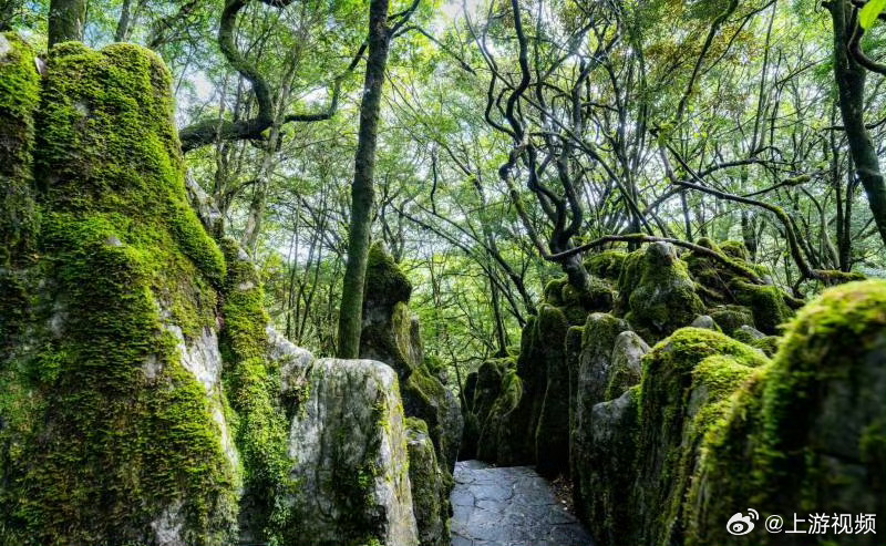 #百家传媒南川行领略金佛山风光#【感受南川文旅发展脉动，“百家传媒南川行”共话新