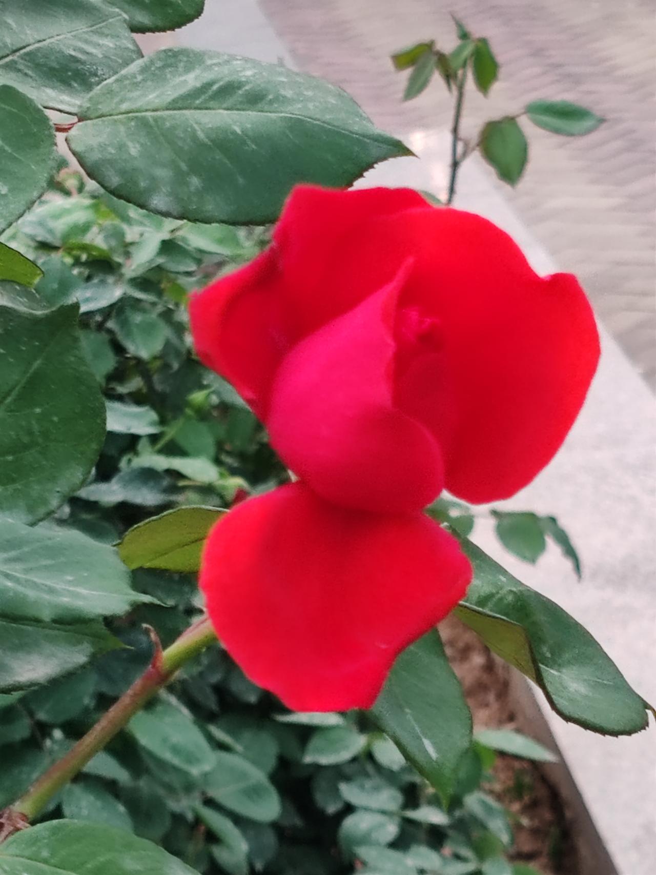 有钱不花和没钱可花是两种生存状态，也是两种心理状态。它们在看待别人消费时的焦虑程