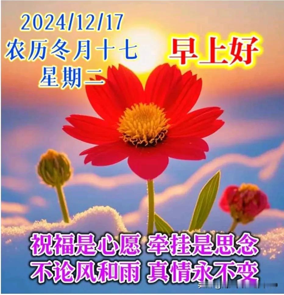 一声问候，一句祝福；
满满牵挂，真诚祝福；
天气寒冷，注意保暖；
保重身体，健康