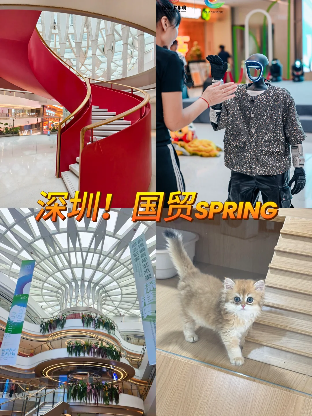 深圳罗湖新地标✨国贸SPRING一站式承包吃喝玩乐🌿 罗湖老地标焕新...