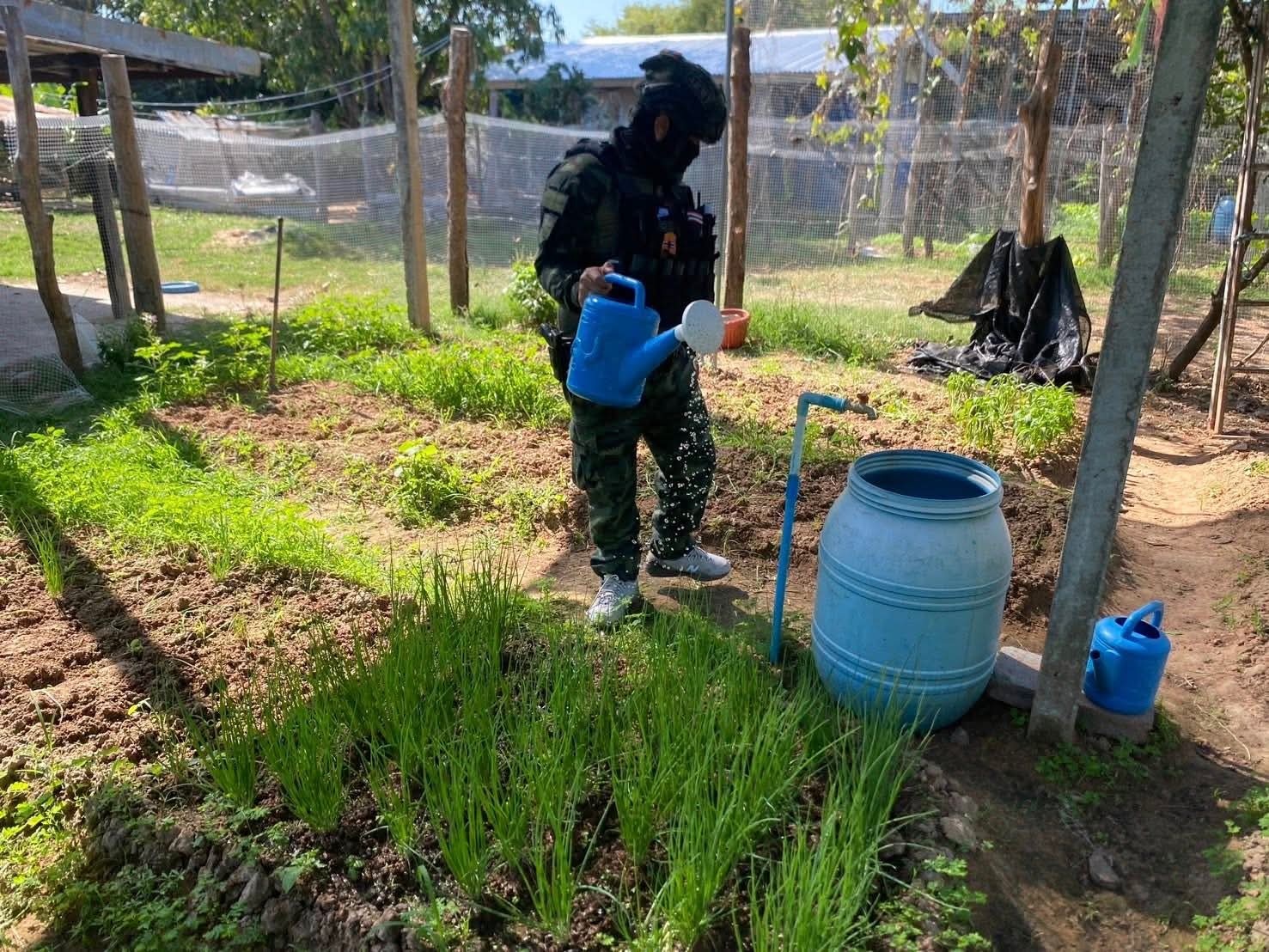 泰国皇家陆军东部司令部组织人手前往因近期边境冲突离家避难的农户家中给作物浇水以及