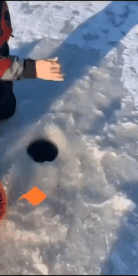 钓鱼钓出来个大惊喜