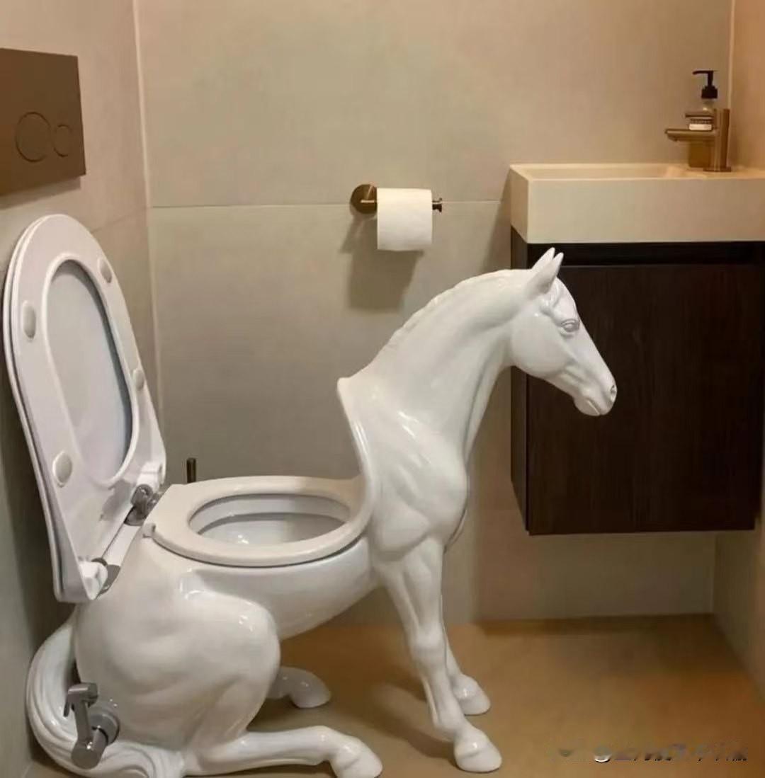 这张图让我思考为什么toilet翻译叫马桶而不是坐坑