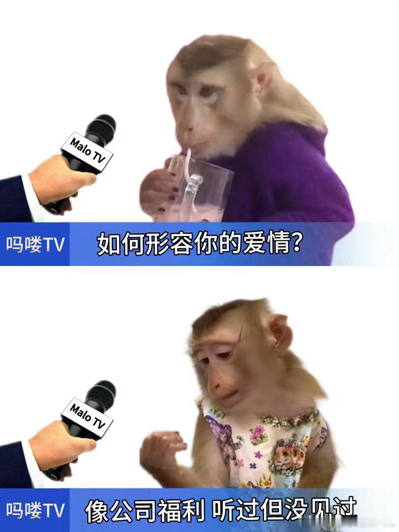被已读乱回笑死😁 