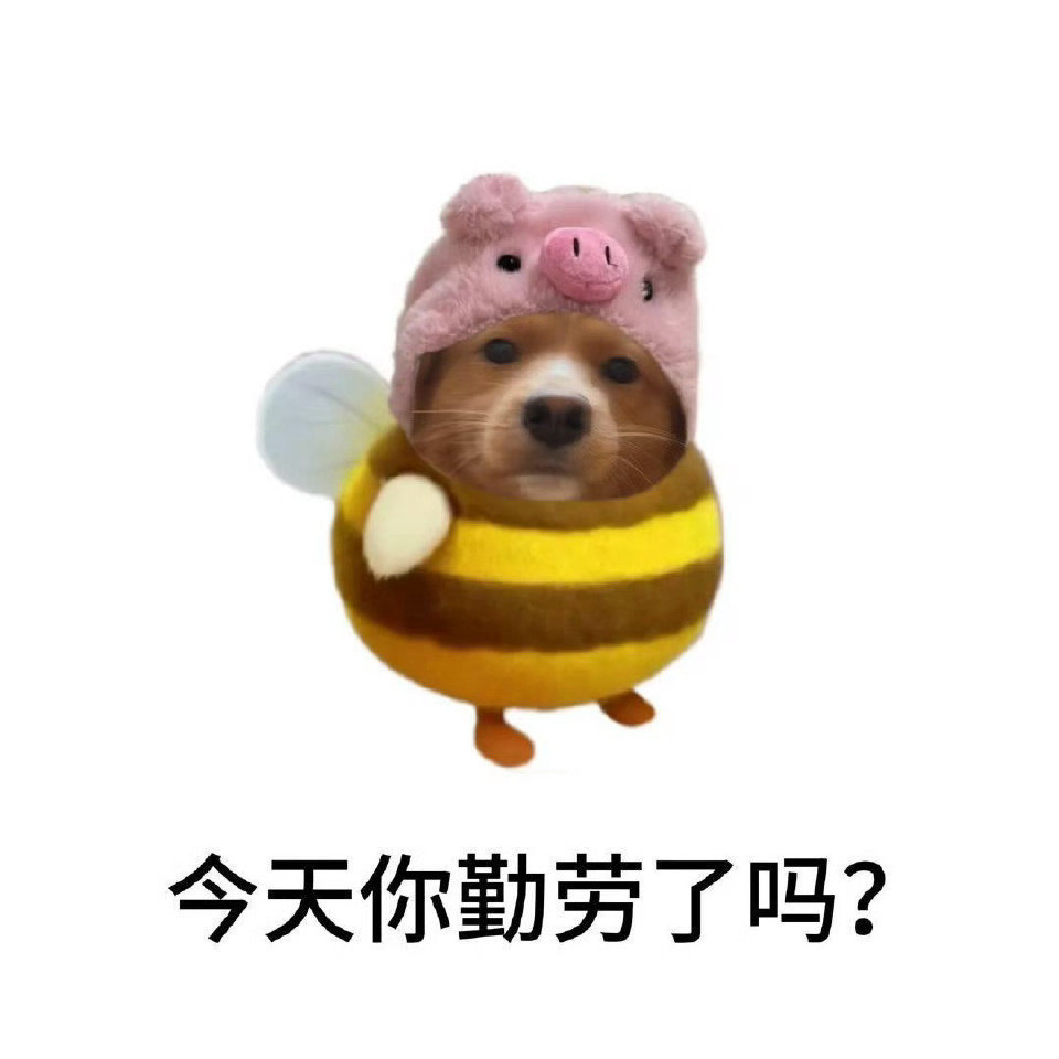 哈哈哈，买了奶酪饼，以为甜甜嘟，结果咸咸嘟 