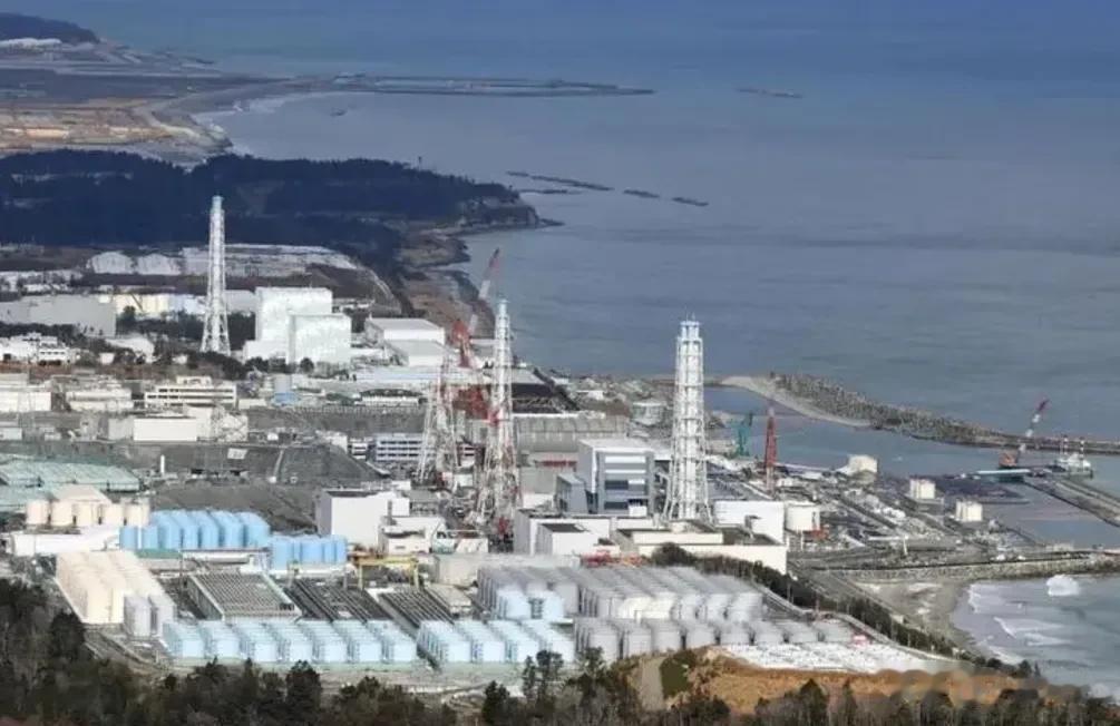 刚刚，乌克兰高层抵达北京，希望中国购买粮食，中方当场开出两个条件！

自从俄罗斯