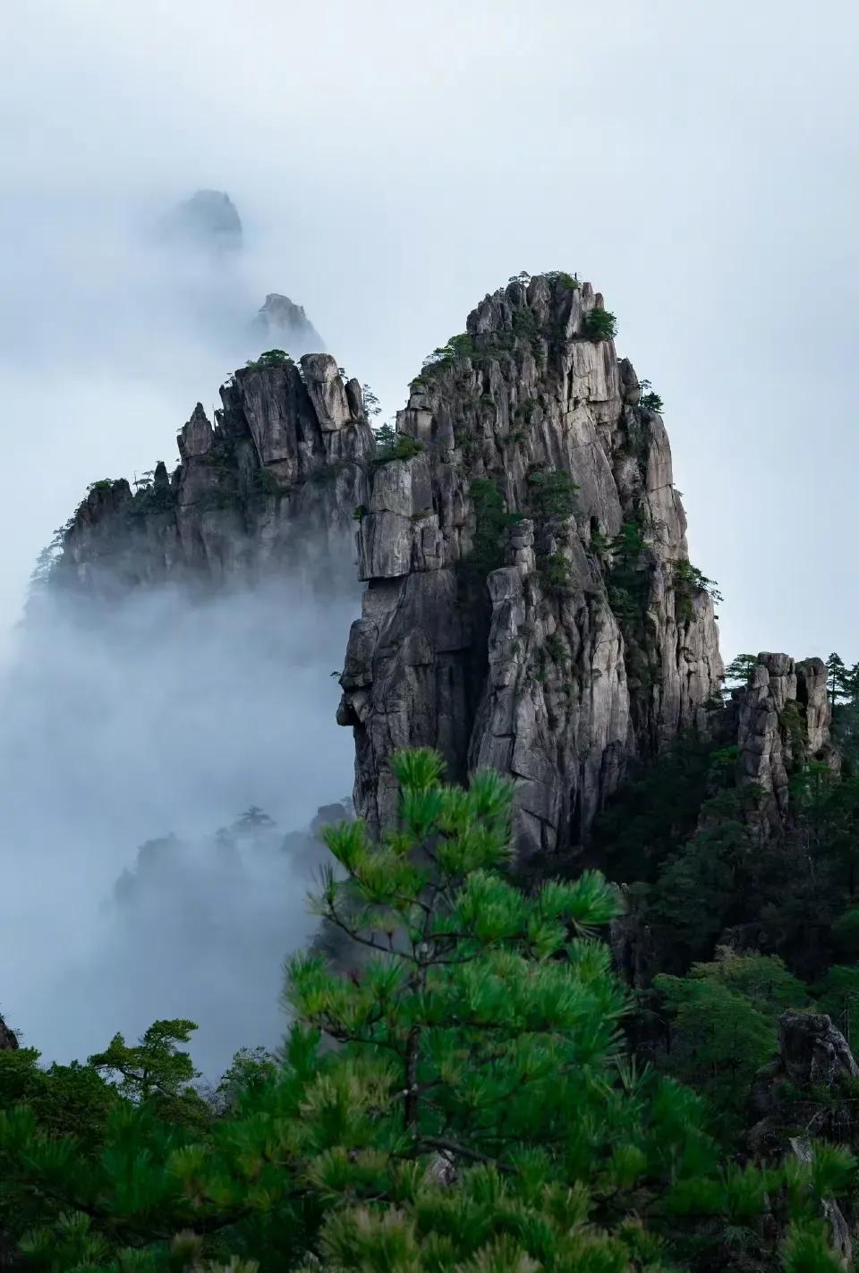 最近养成了一个习惯，就是偶尔刷到卖货的主播，展示自己的东西如何的好，自己确实也需