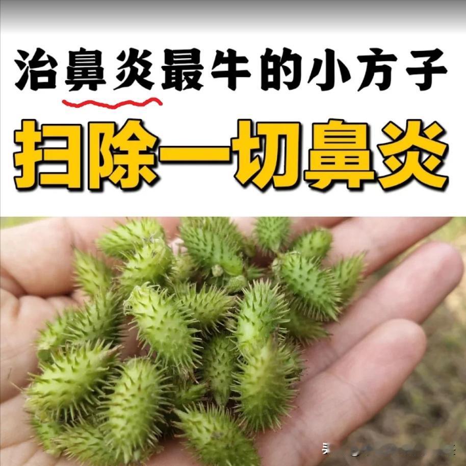 中医认为，孩子鼻炎反复发作可能与便秘有关。多数鼻炎患者的根源在于肺腑中的寒湿邪气