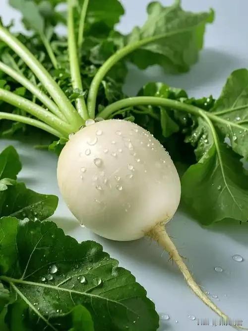 白萝卜：都是萝卜，但是我跟姓胡的可是清清白白。
胡萝卜：虽然我姓胡，但是我可从不