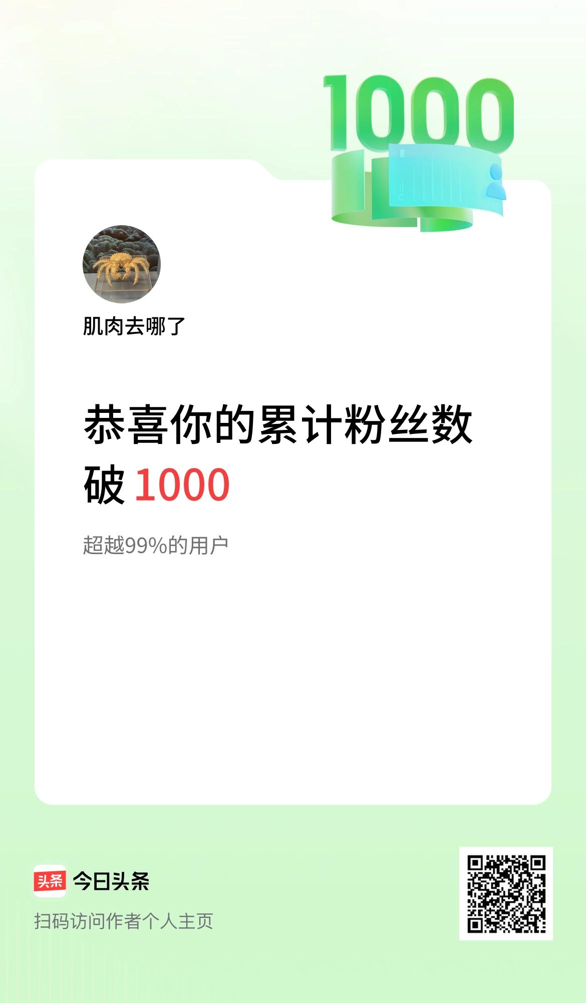 我在头条累计粉丝数破1000啦！
