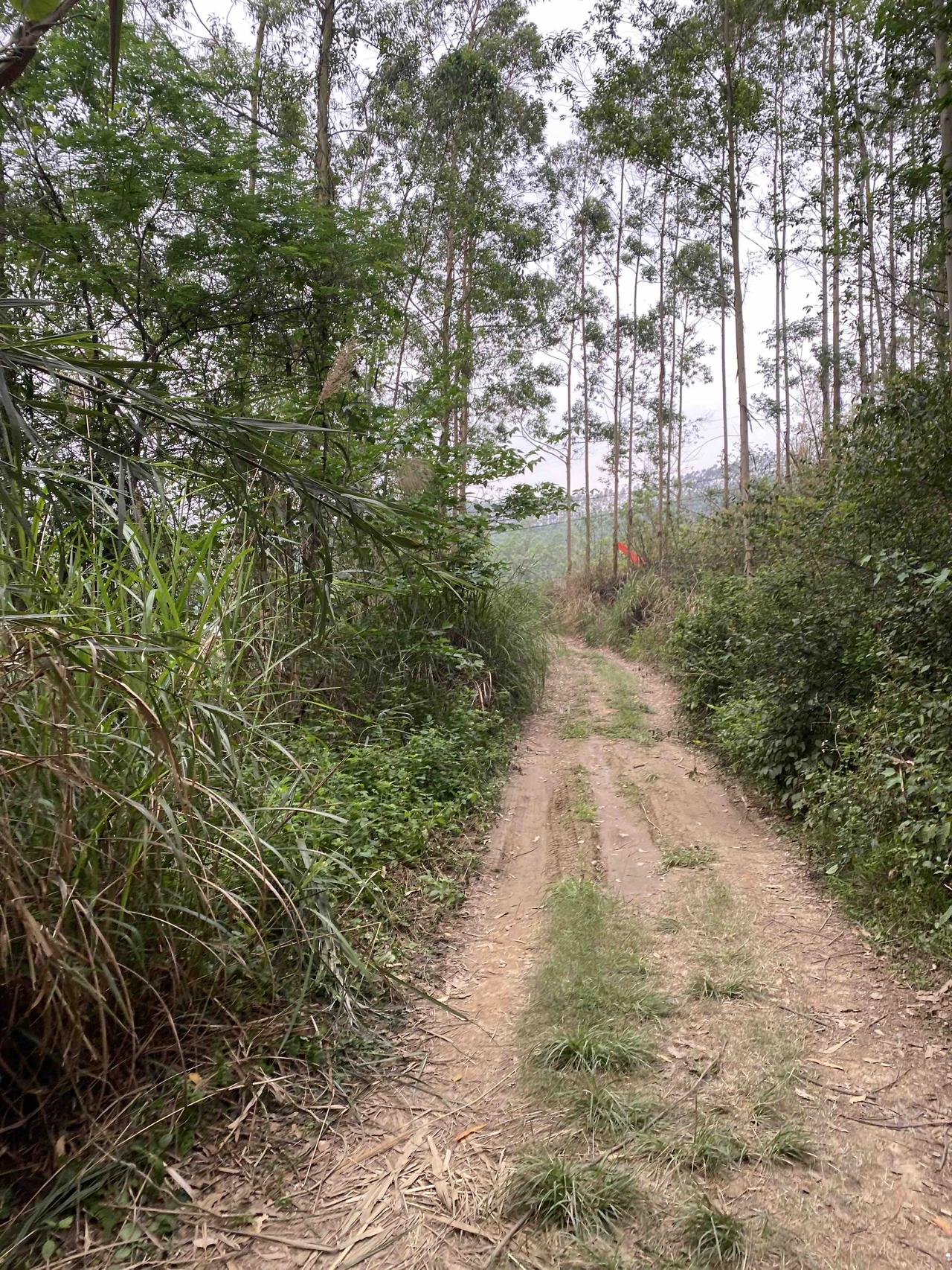 世人多趋利避害，怕被麻烦，怕被拖累，下意识就会保持距离。再加上自身敏感自卑，总觉
