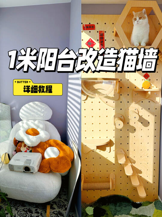 1米小阳台🐱低成本改造超实用猫爬架(教程)